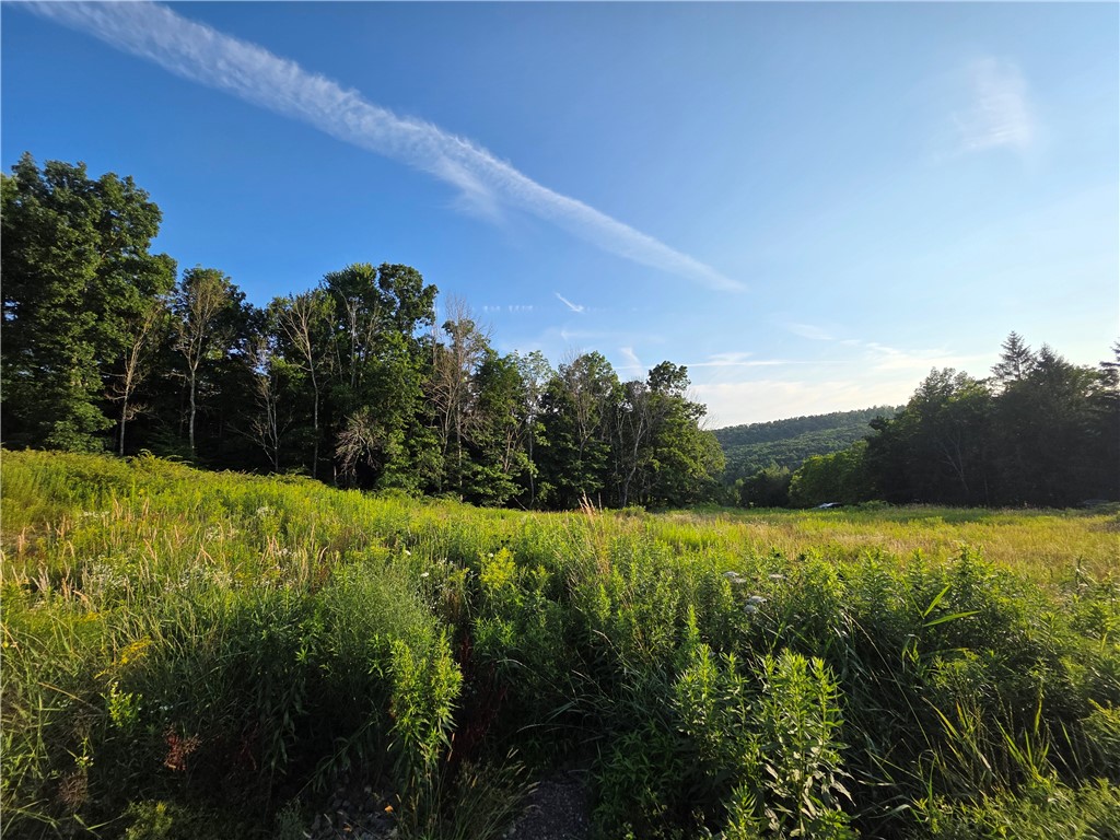 652 Ideuma Road Unadilla, NY 13849 - Photo 17 of 26