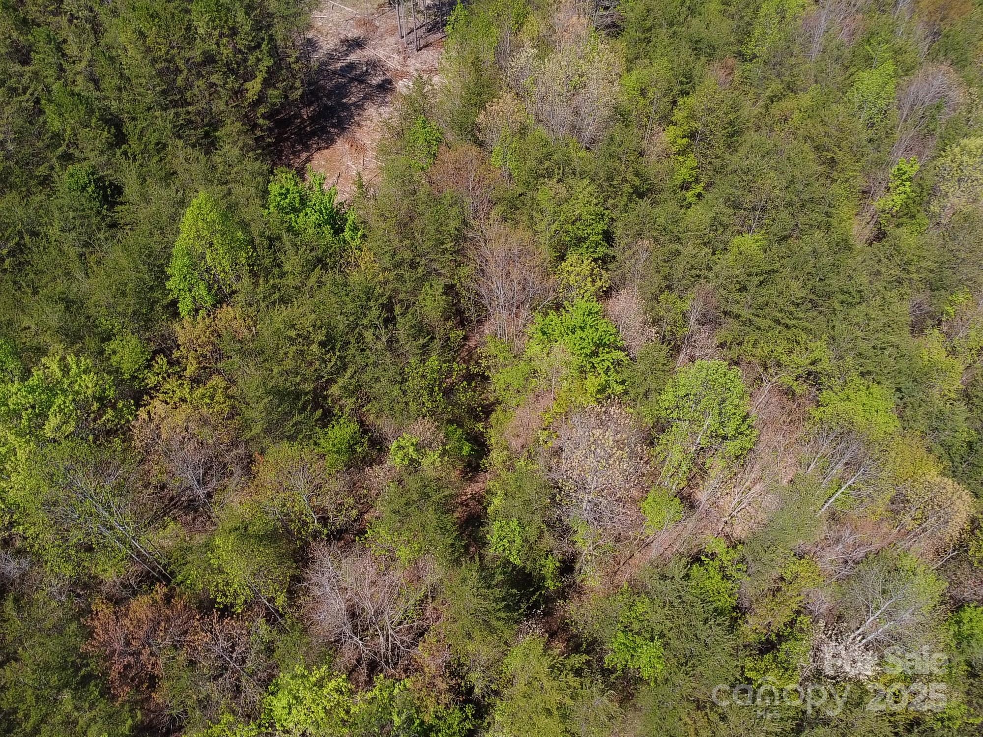 0 Snowhill Church Road Morganton, NC 28655 - Photo 34 of 40