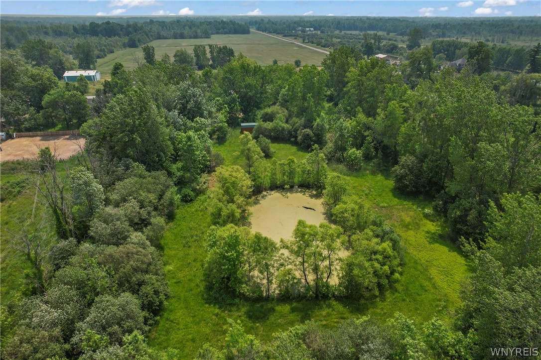 8660 Wolcott Road Clarence, NY 14032 - Photo 7 of 8