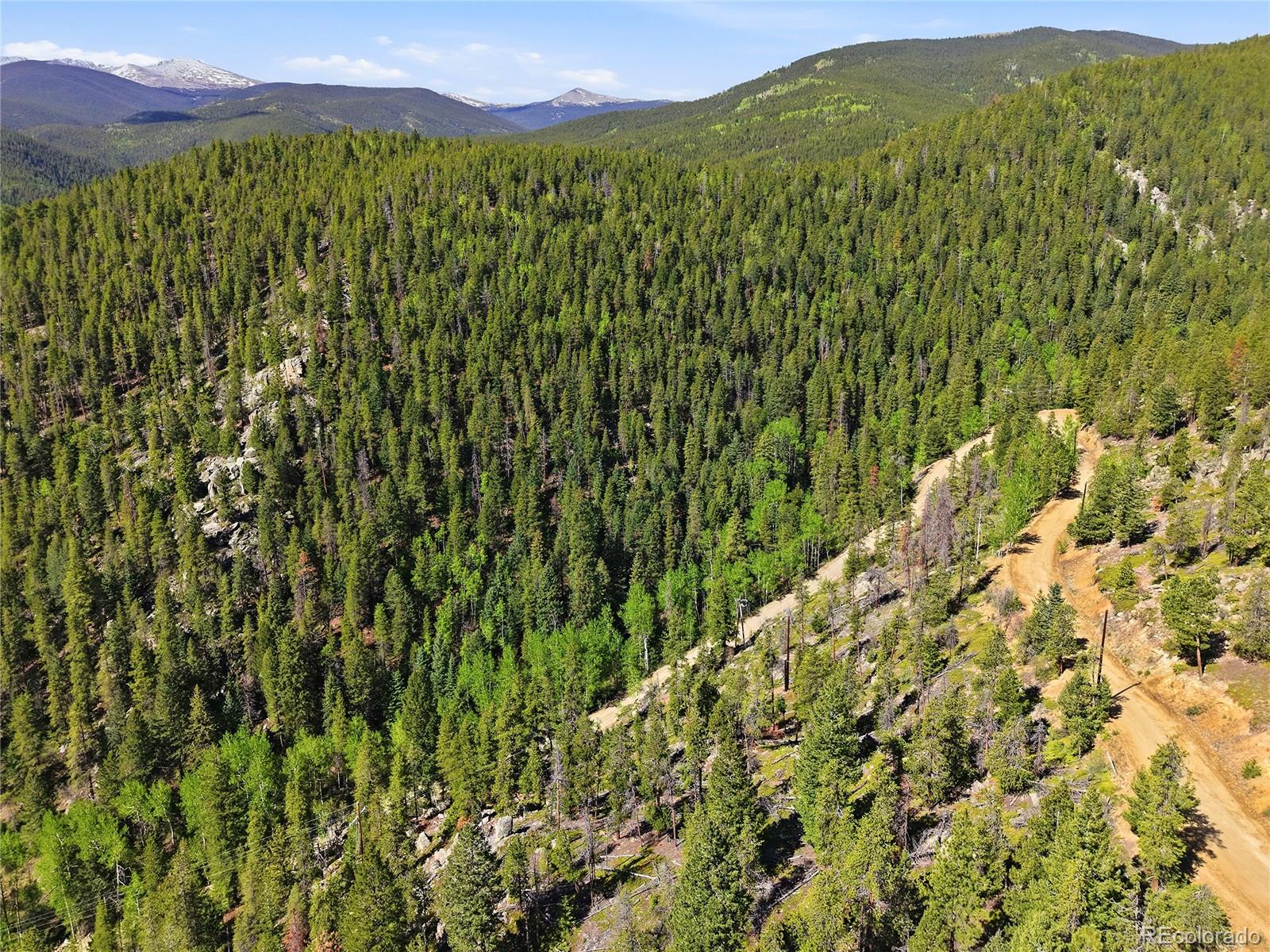 600 Ute Creek Road Idaho Springs, CO 80452 - Photo 11 of 24 a view of a lush green field with a tree in the background