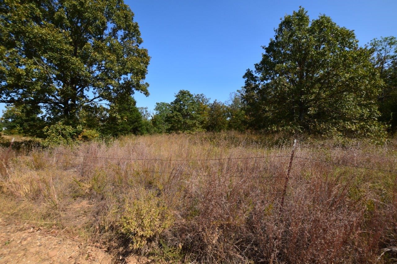 98755 South 4683 Road Sallisaw, OK 74955 - Photo 4 of 11 Gallery Image 4