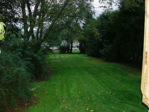 1422 Philadelphia Street Indiana, PA 15701 - Photo 7 of 8 Yard/Garden.