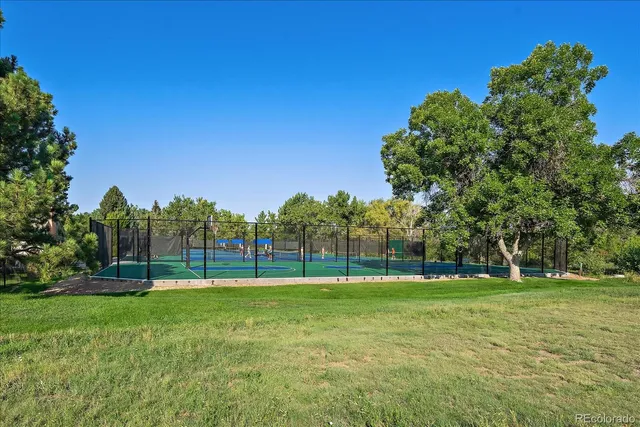 a view of a park with large trees