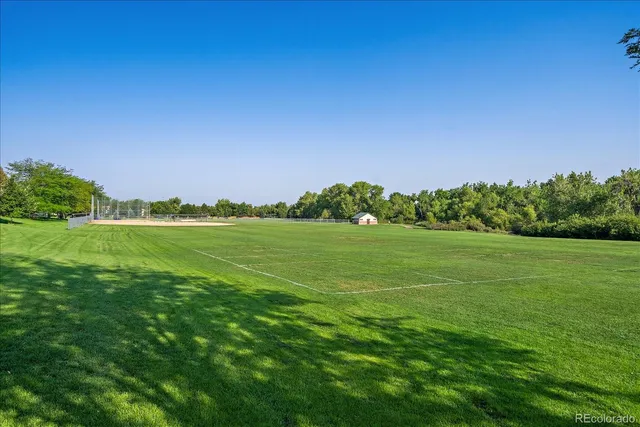 a view of a field with grass and trees