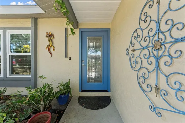 a potted plant sitting in front of a door
