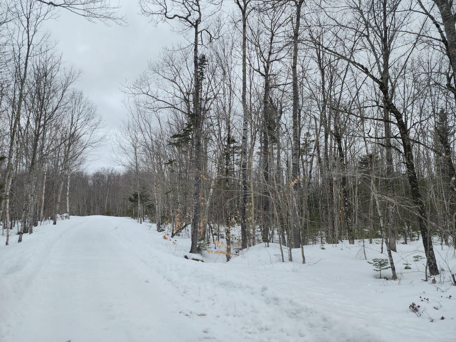 Lot 43 Lot Road Deblois, ME 04622 - Photo 6 of 7 20230307_131749