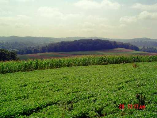 340 Wilson Road Worthington, PA 16262 - Photo 4 of 8