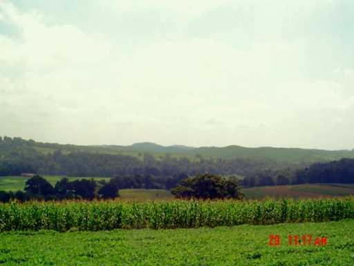 340 Wilson Road Worthington, PA 16262 - Photo 7 of 8