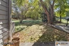 a view of a yard with plants and trees