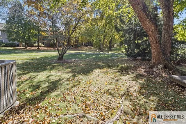 a view of a yard with trees