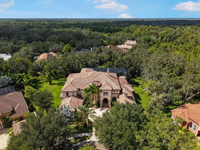 $2,799,900 | 16220 Ternglade Drive, Lithia, FL 33547