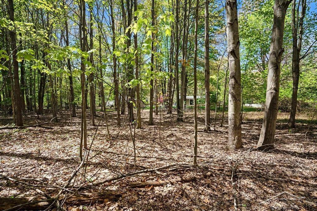 778 East Pine River Road Midland, MI 48640 - Photo 16 of 16