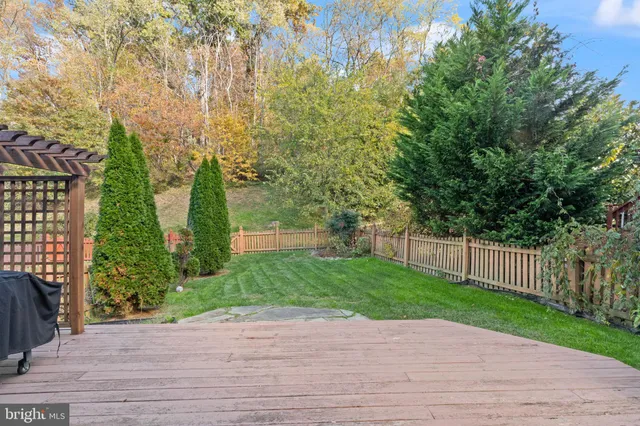 a view of a park with plants and trees