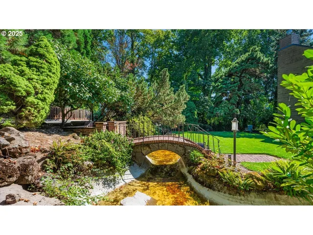 a view of a backyard with plants