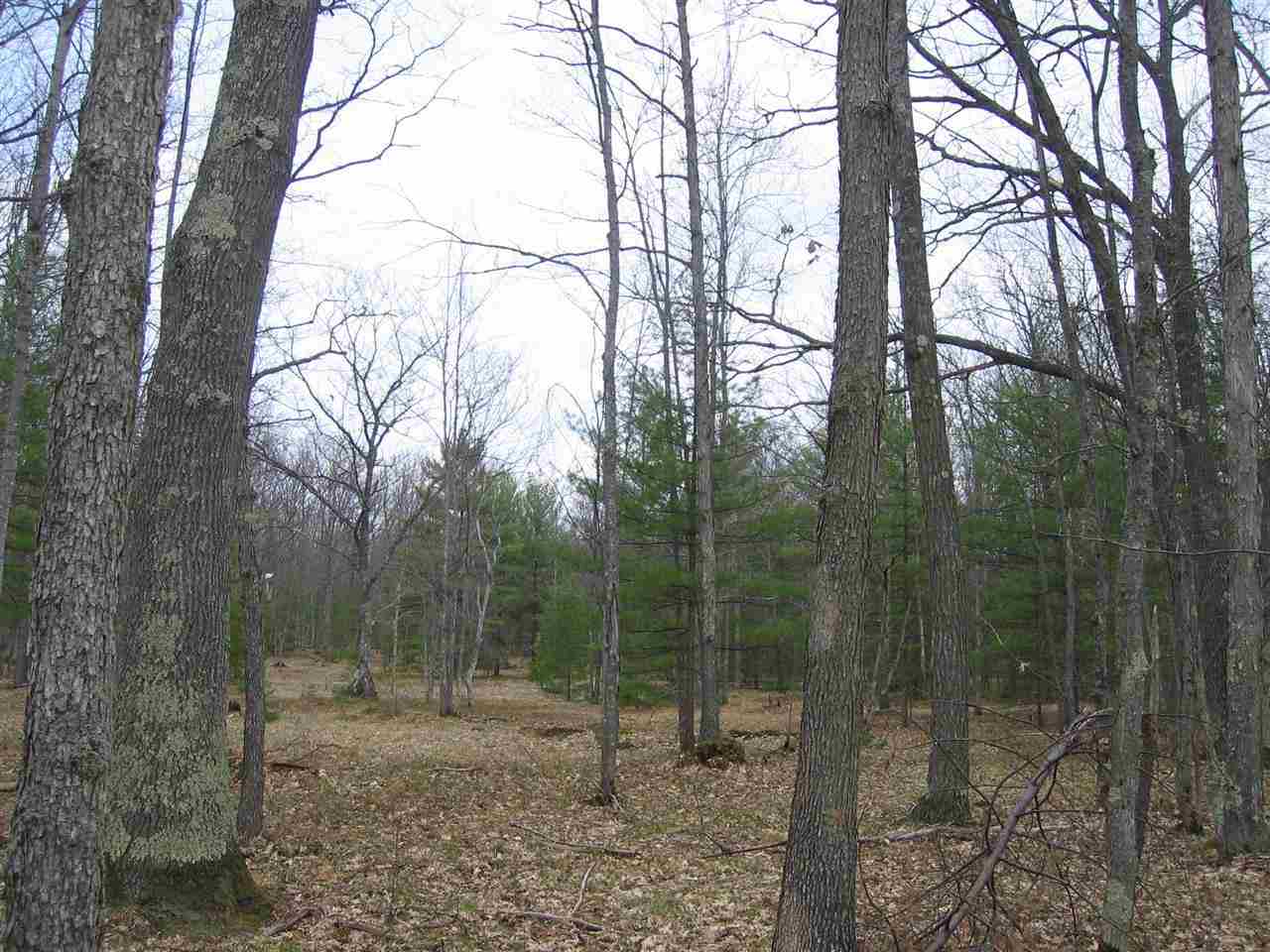 2005 North Broomhead Road Williamsburg, MI 49690 - Photo 4 of 16 1784920-3.JPG