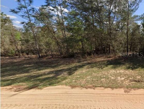 Unassigned Road Interlachen, FL 32148 - Photo 2 of 6 a view of outdoor space and yard