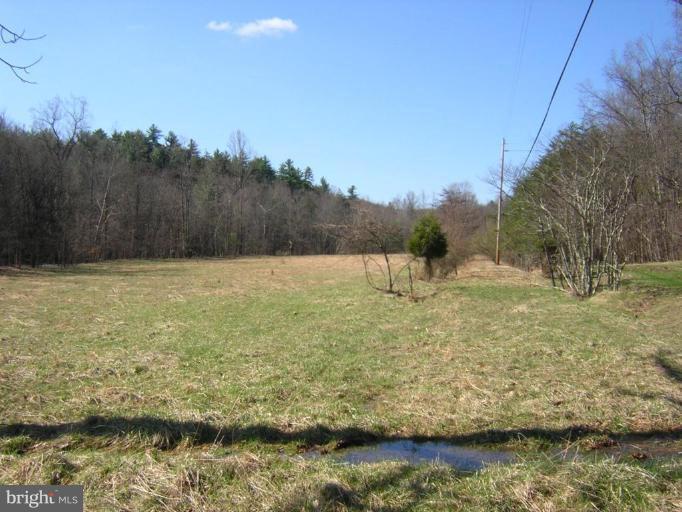 2420 Back Creek Road Gore, VA 22637 - Photo 2 of 17 Pasture