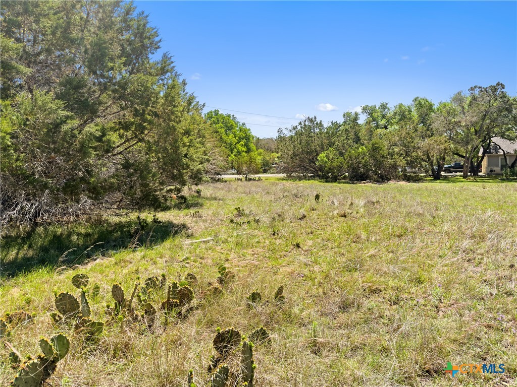 1510 Misty Lane Spring Branch, TX 78070 - Photo 4 of 16 Gallery Image 4