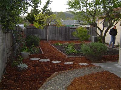 219 Grove Avenue Santa Rosa, CA 95409 - Photo 3 of 4 Gallery Image 3