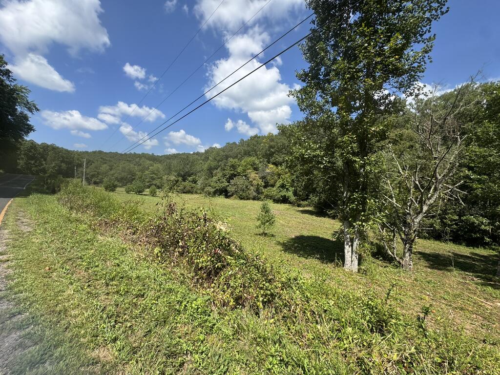 2231 Camp Creek Road Murphy, NC 28906 - Photo 7 of 18 Gallery Image 7