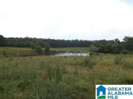 0 Highway 24 Oneonta Al Oneonta, AL 35121 - Photo 2 of 27