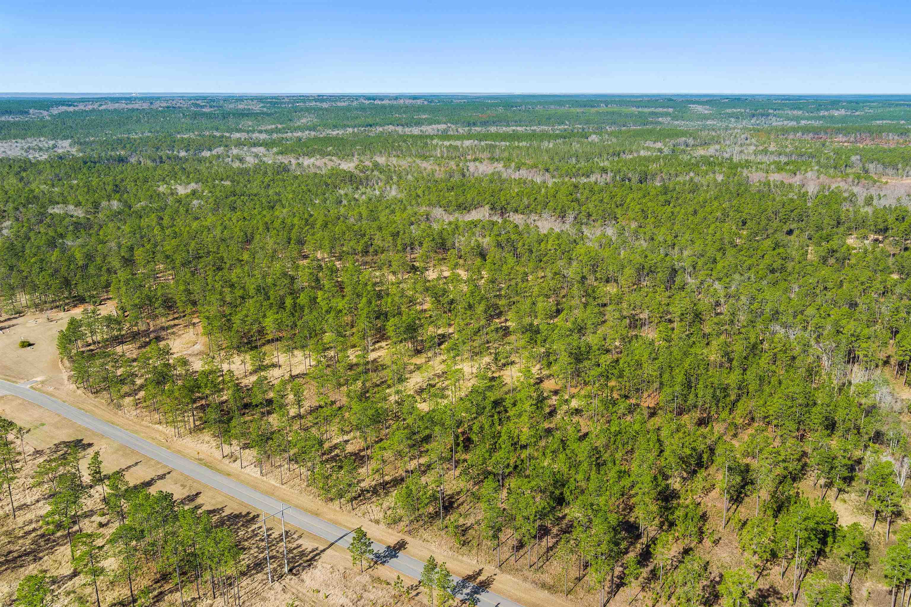 0 Robert White Road Bay Minette, AL 36507 - Photo 10 of 23