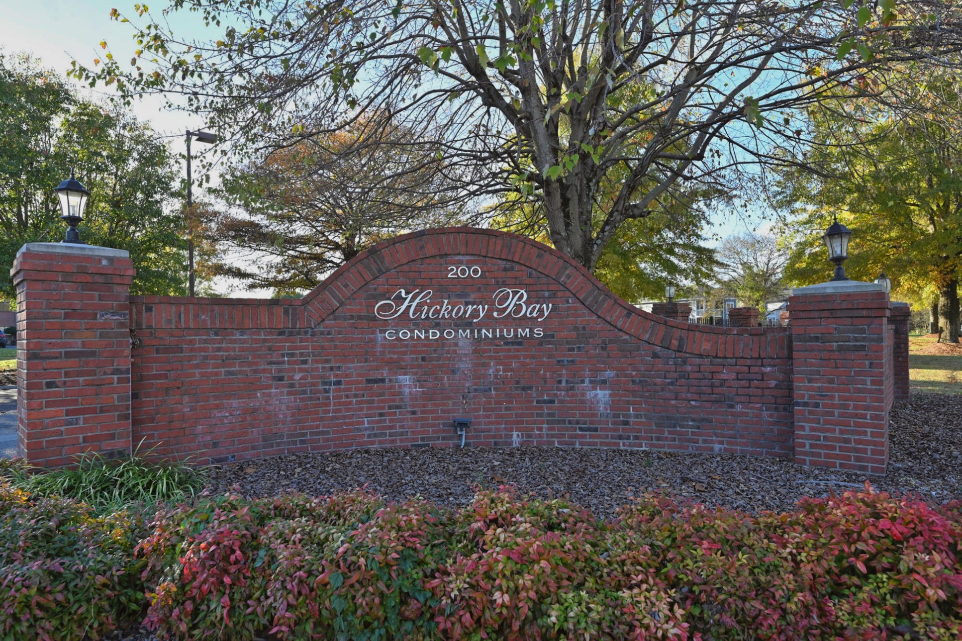 a sign that is sitting in front of a tree