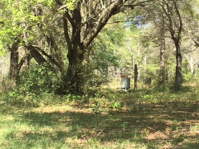 13158 Highway 98 Foley, AL 36535 - Photo 6 of 10