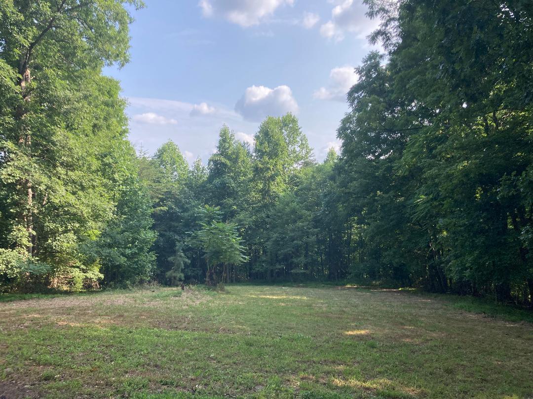 120 Kristen Forest Road Hardy, VA 24101 - Photo 18 of 19 k6