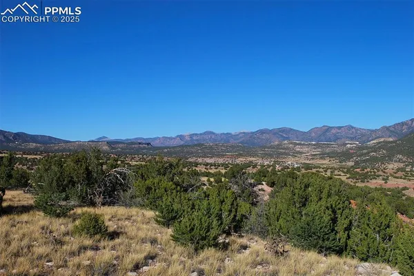 a view of a forest with mountains in the background