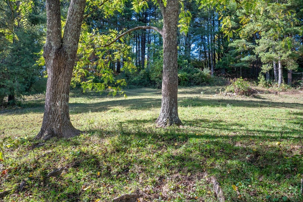 749 Knight Road Rural Retreat, VA 24368 - Photo 49 of 76 Gallery Image 49