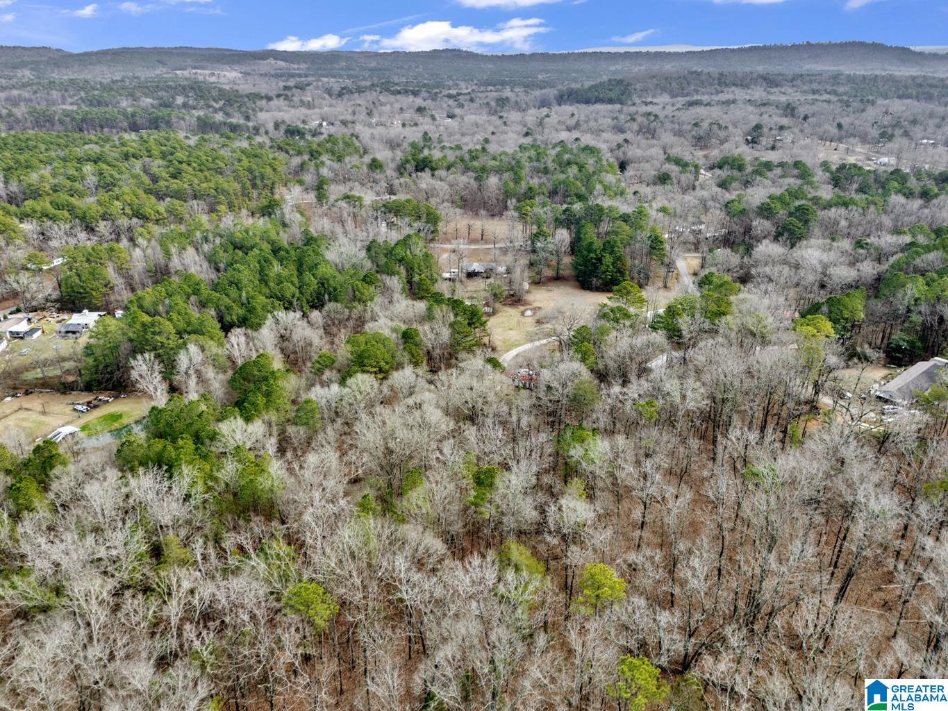 1383 Camp Branch Road, Unit 1 Alabaster, AL 35007 - Photo 18 of 20