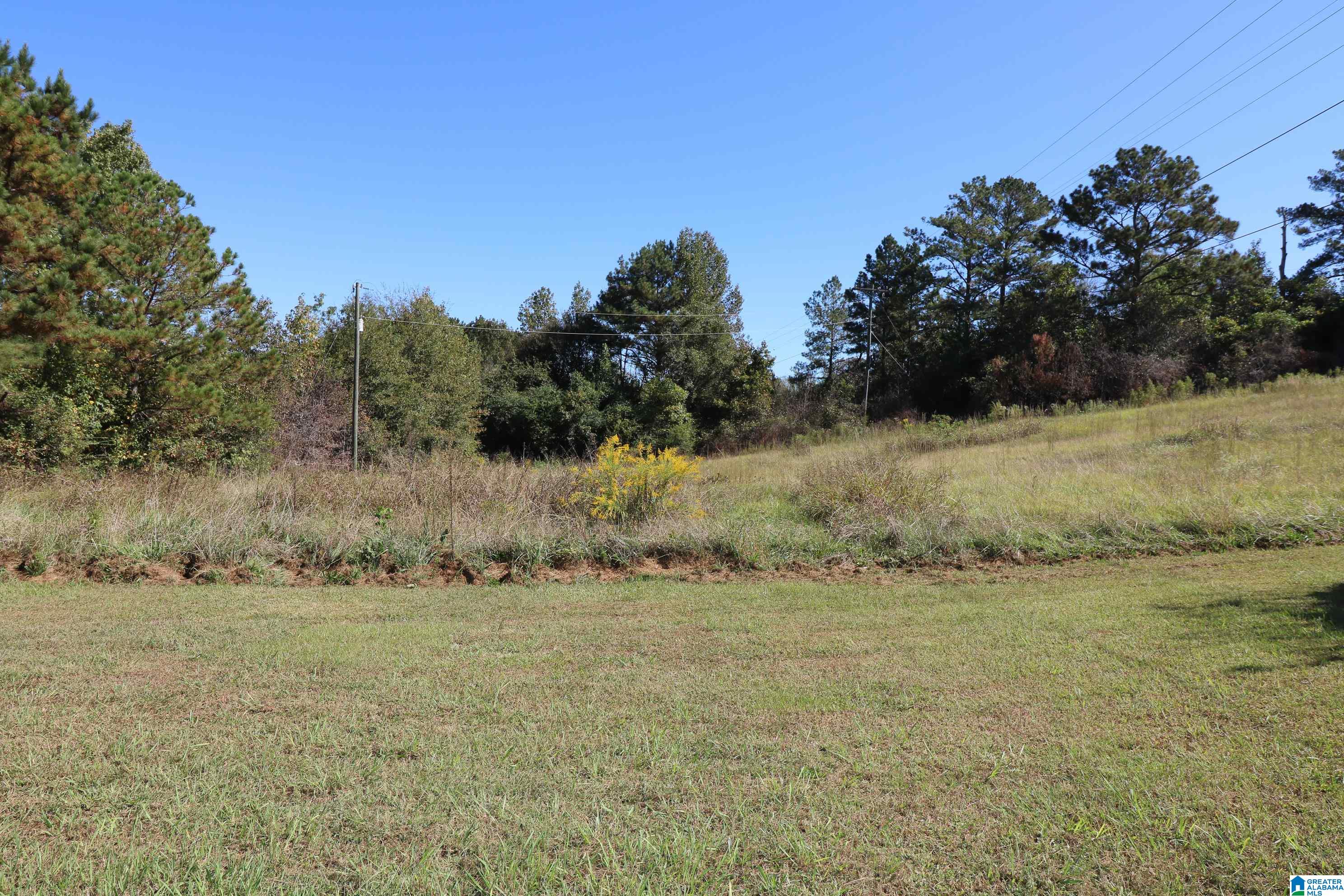 7249 Grist Mill Road Alpine, AL 35014 - Photo 48 of 50
