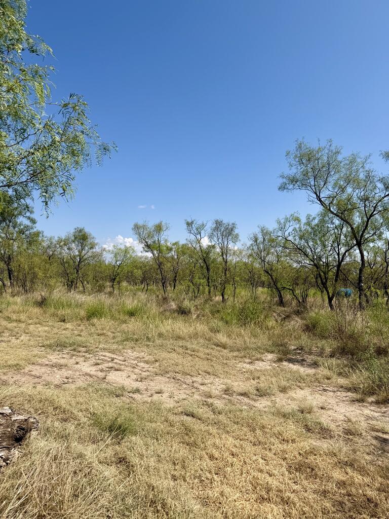 524 South Trap Road, Unit MULT Fort McKavett, TX 76841 - Photo 19 of 20 Gallery Image 19