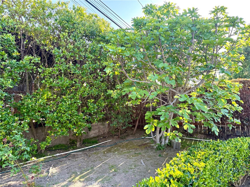 952 Balboa Drive Arcadia, CA 91007 - Photo 25 of 29 a backyard of a house with lots of green space and garden