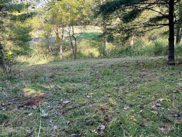 Tbd Pine Run Road Draper, VA 24324 - Photo 15 of 19 Gallery Image 15