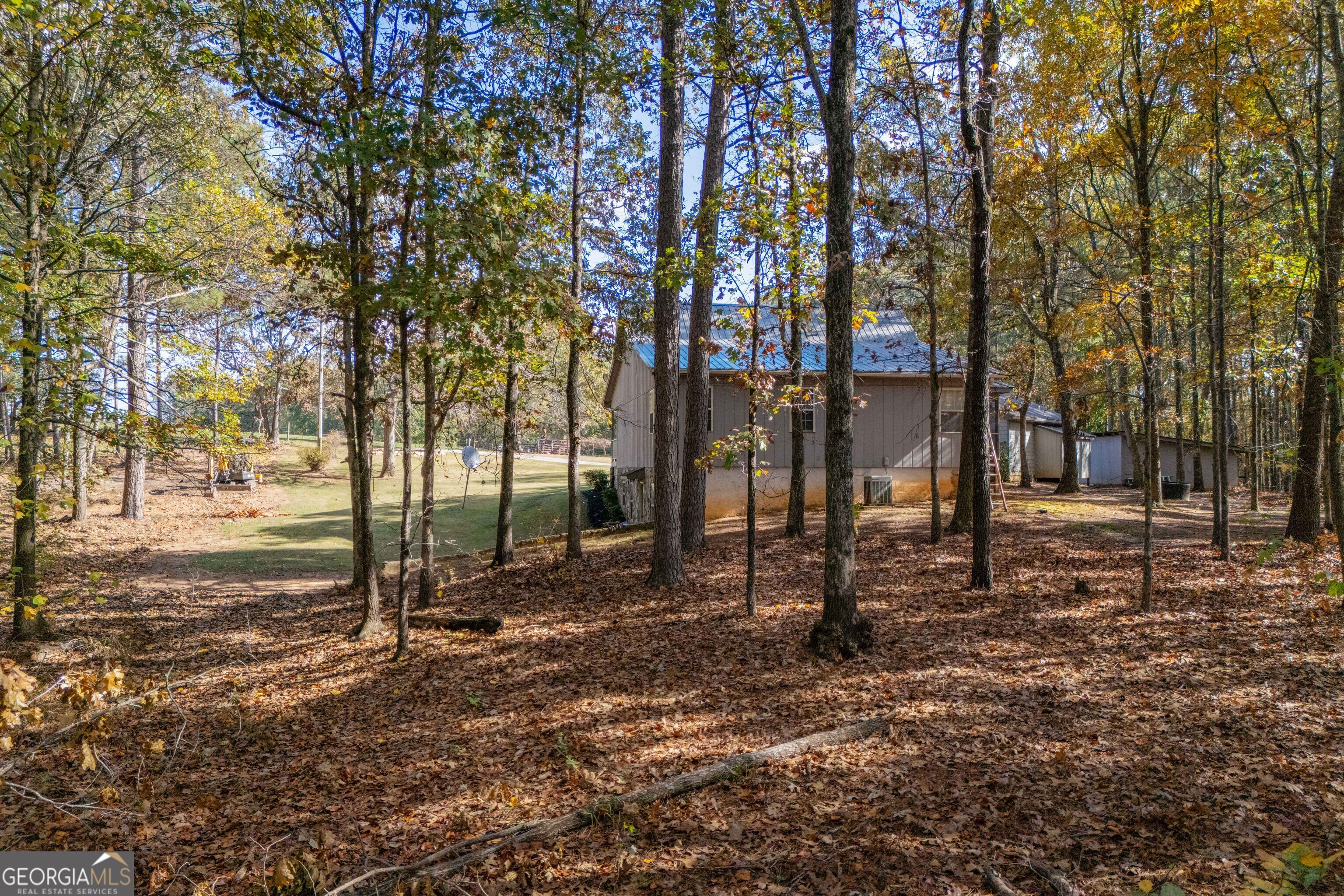 335 Gum Creek Road Roopville, GA 30170 - Photo 17 of 56 a backyard of a house with lots of green space