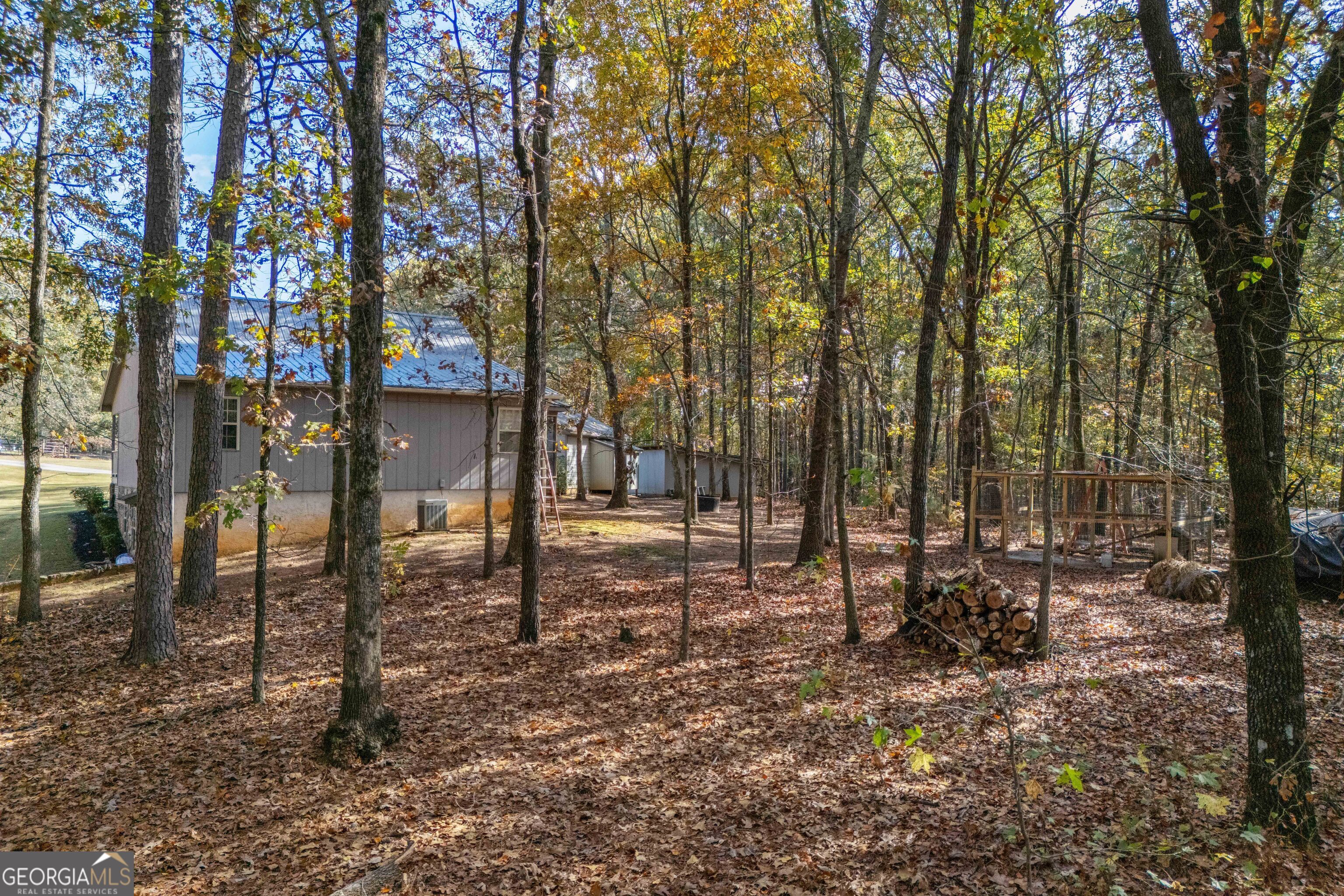 335 Gum Creek Road Roopville, GA 30170 - Photo 5 of 56 a view of outdoor space with lots of trees