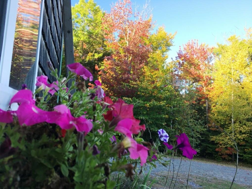 85 Longley Road Madison, ME 04950 - Photo 26 of 35 Photo