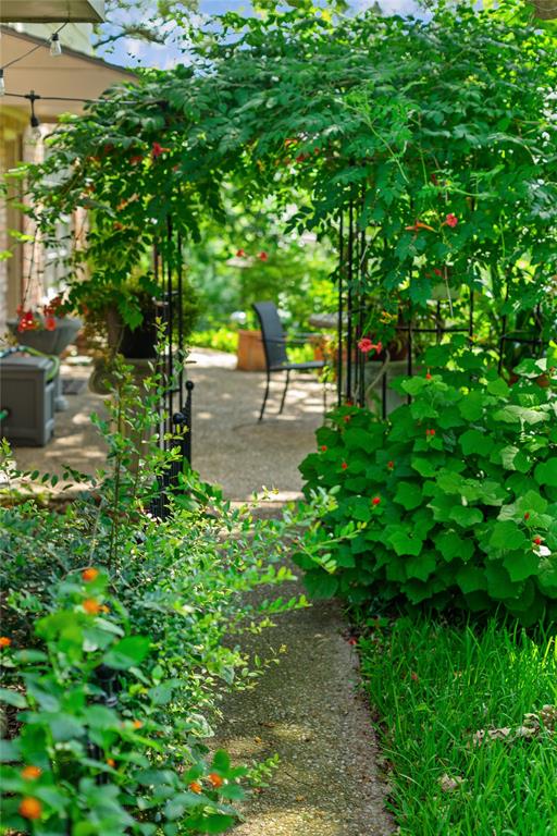 4104 Evergreen Drive Waco, TX 76708 - Photo 31 of 36 a backyard of a house with lots of green space