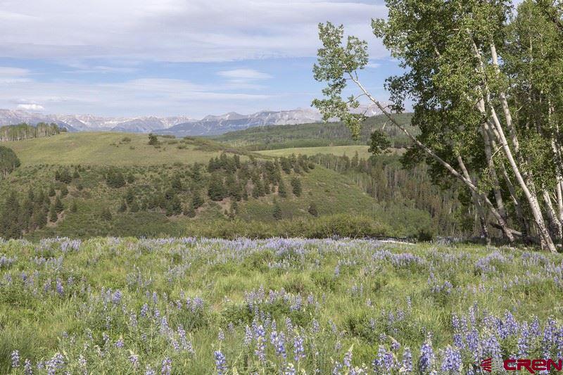 Tbd Porcupine Road Telluride, CO 81435 - Photo 2 of 6 Gallery Image 2