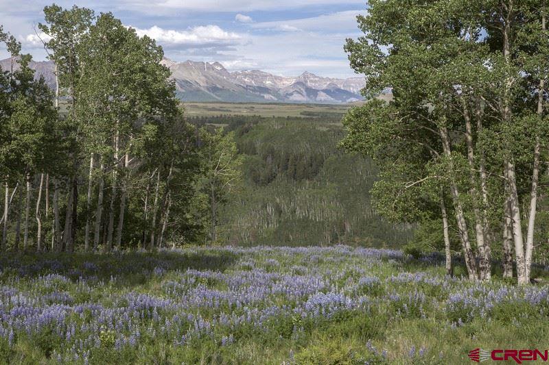 Tbd Porcupine Road Telluride, CO 81435 - Photo 3 of 6 Gallery Image 3