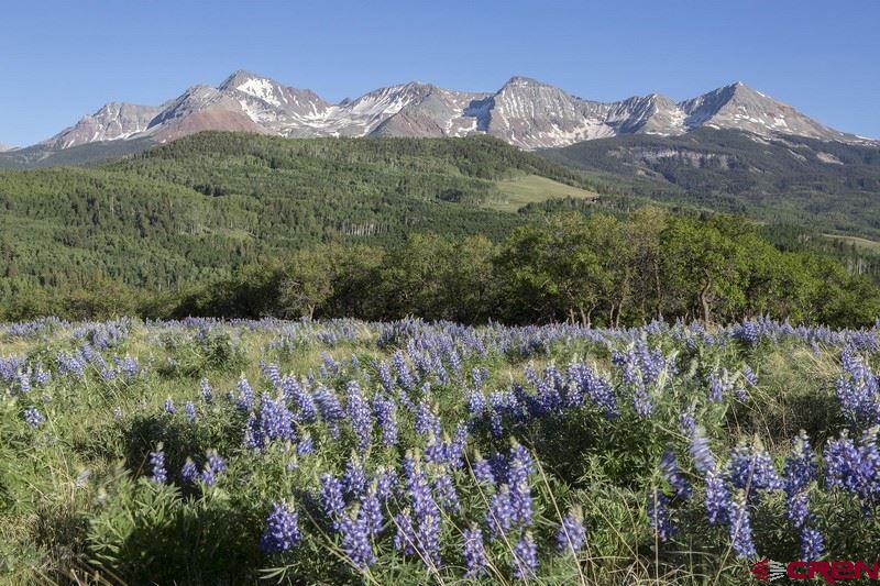 Tbd Porcupine Road Telluride, CO 81435 - Photo 5 of 6 Gallery Image 5