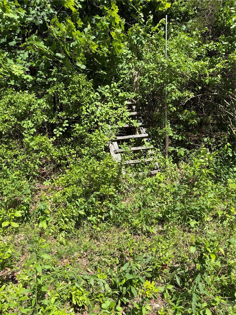 0 Lawton Foster Road South Hopkinton, RI 02833 - Photo 15 of 19 Reference point across from 77C.