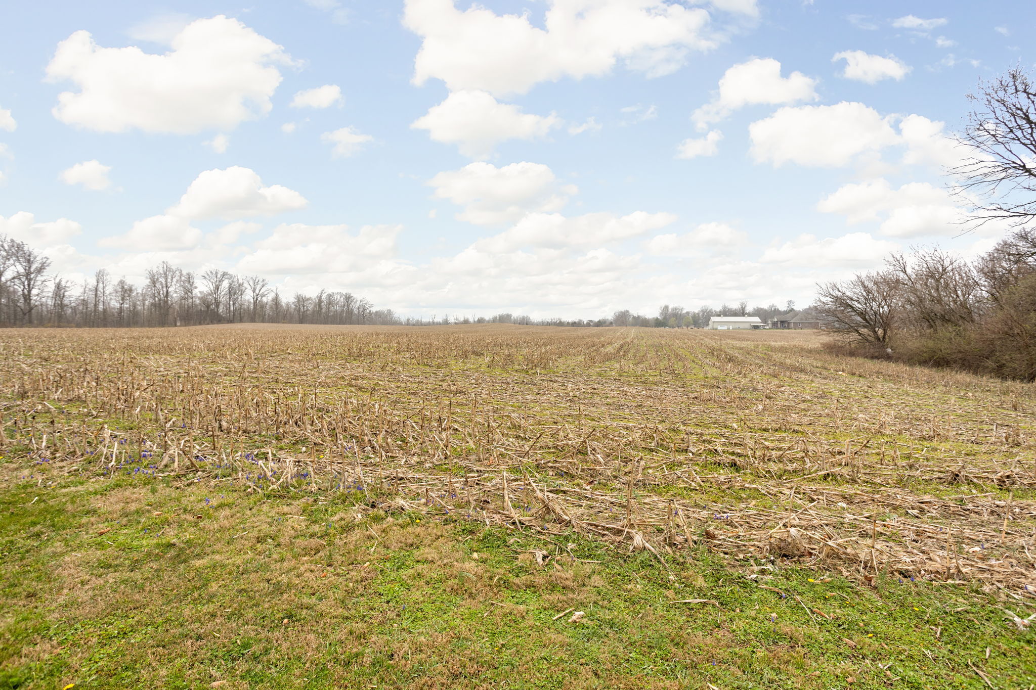 3712 Senour Road Indianapolis, IN 46239 - Photo 36 of 44