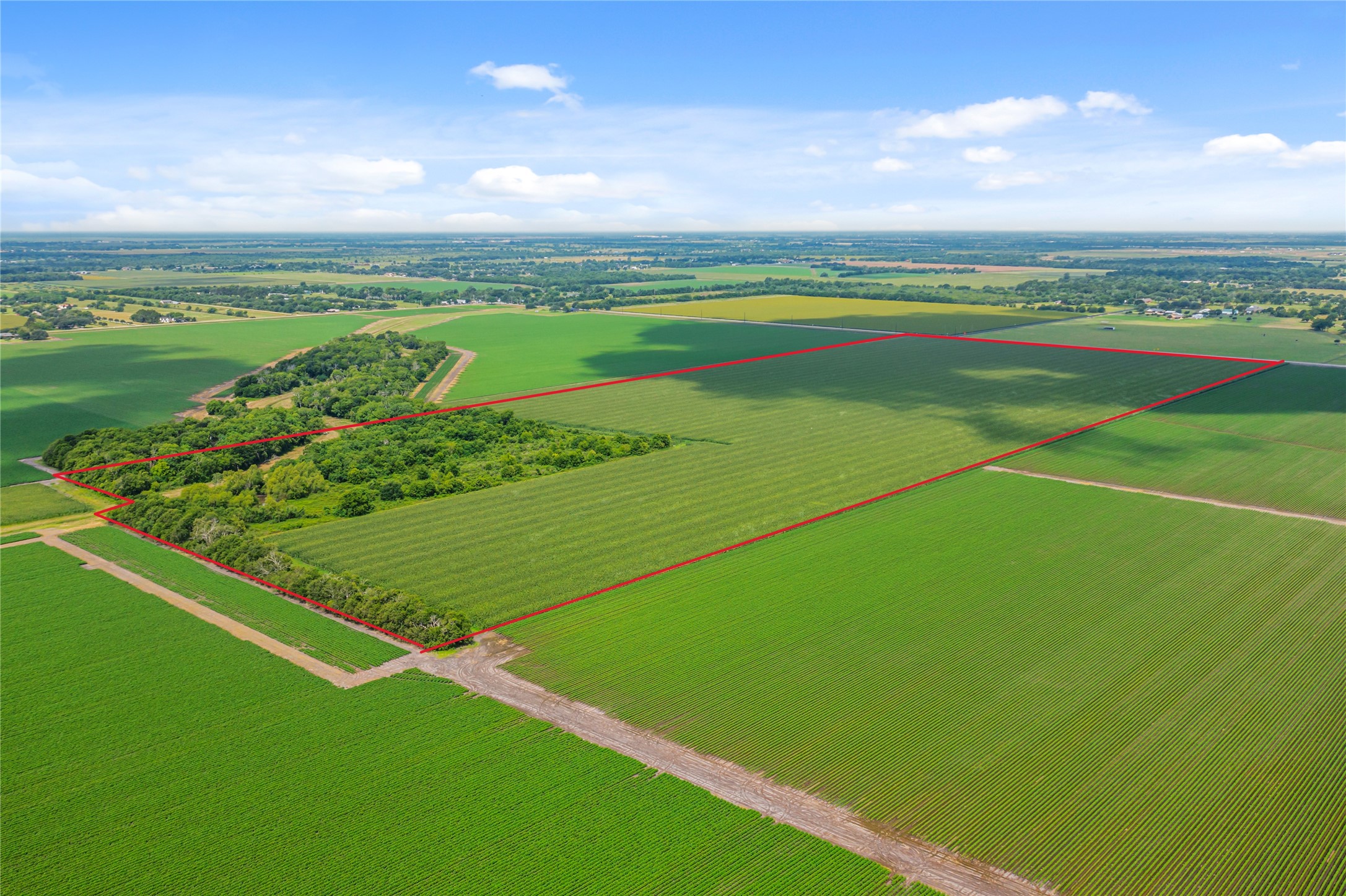 0 Kunz Road Needville, TX 77461 - Photo 12 of 18 a view of field with ocean view