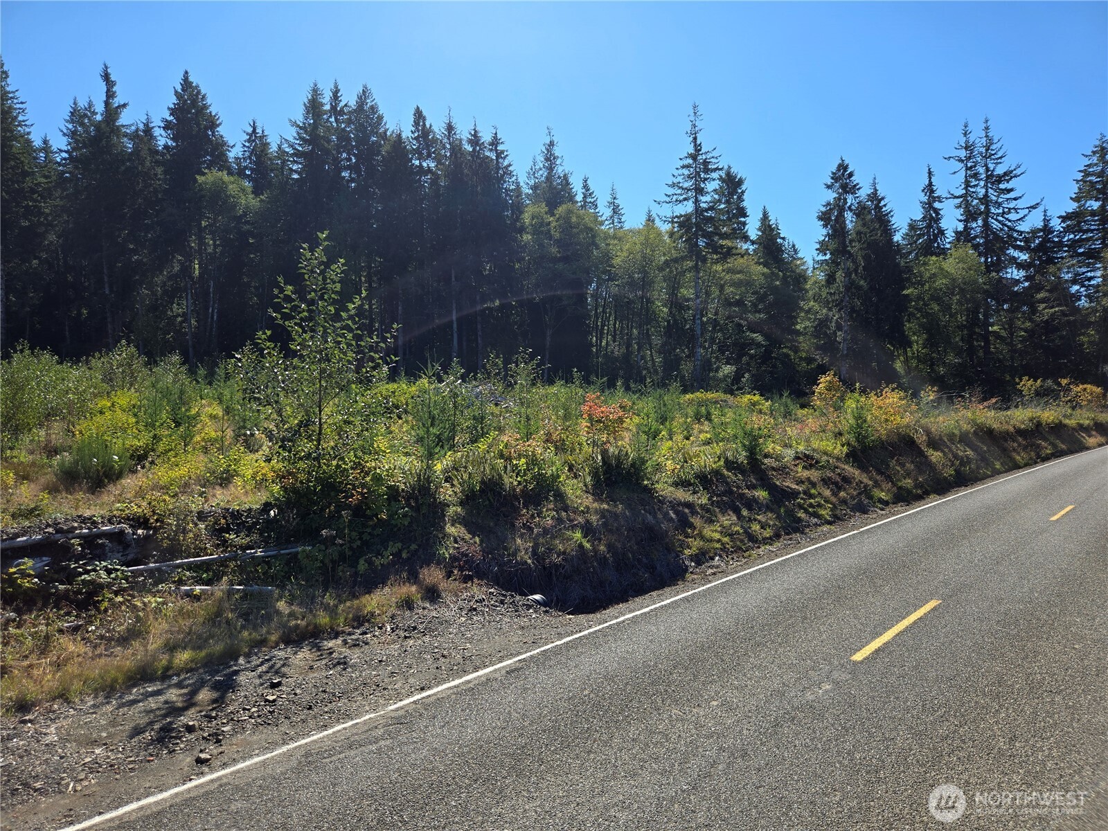 15.5 Wishkah Road Aberdeen, WA 98520 - Photo 2 of 7 a view of a garden with potted plants
