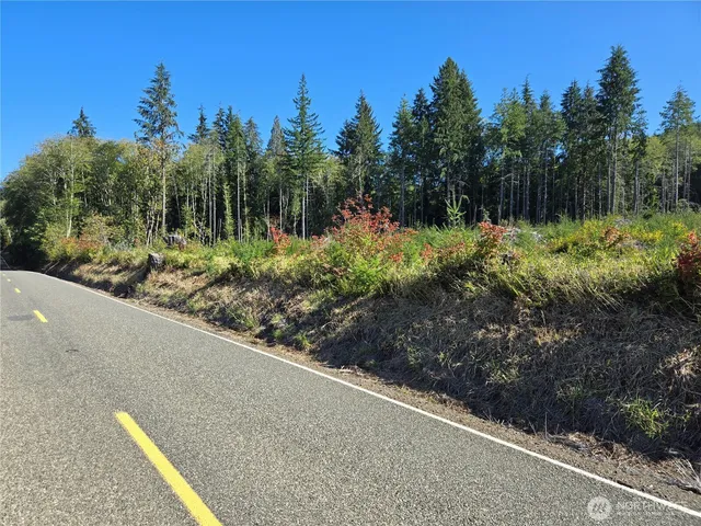 a view of a garden with a bench in the background