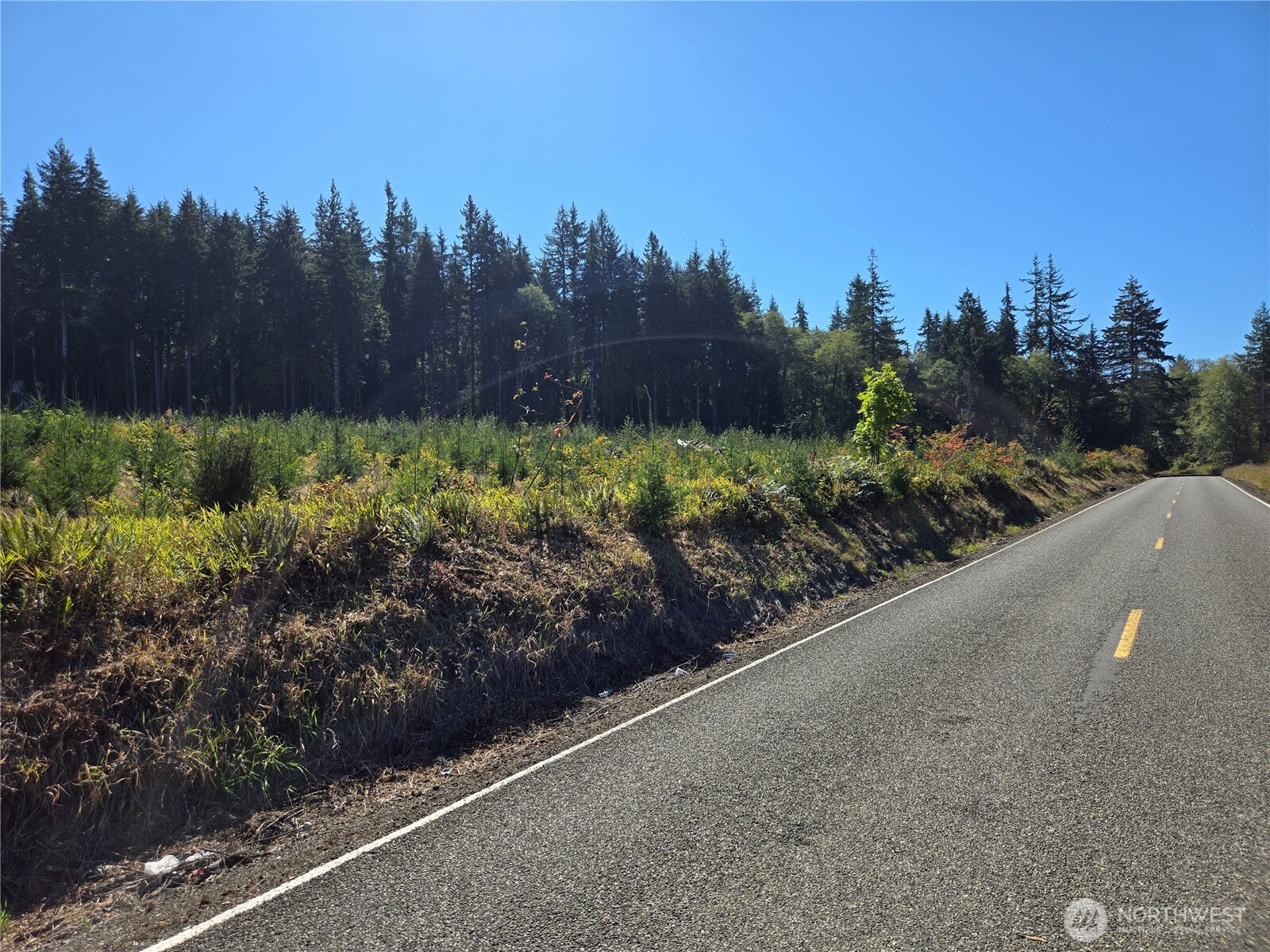 15.5 Wishkah Road Aberdeen, WA 98520 - Photo 4 of 7 a view of a street