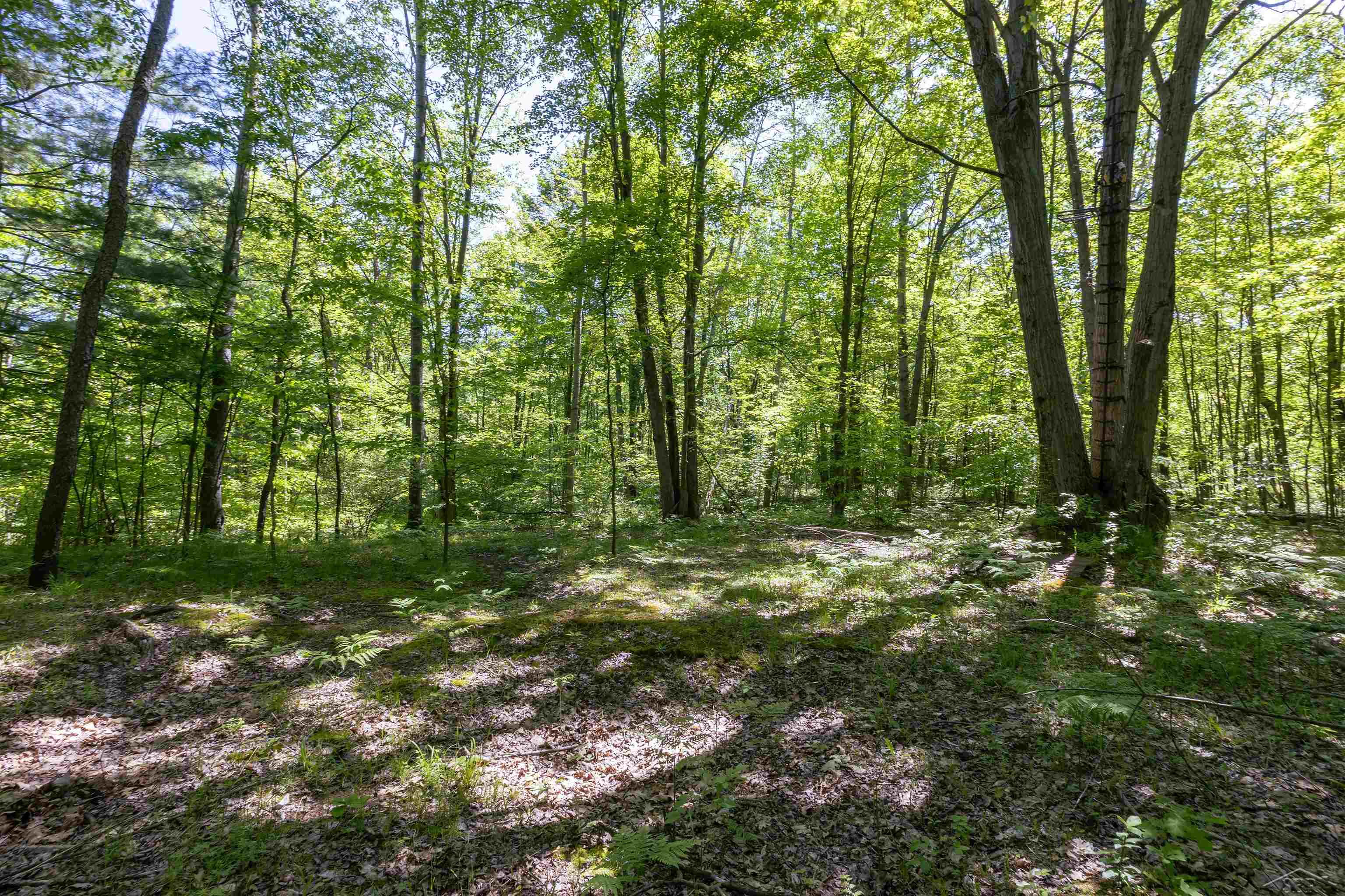 1274 West Gordonville Road Midland, MI 48640 - Photo 27 of 28